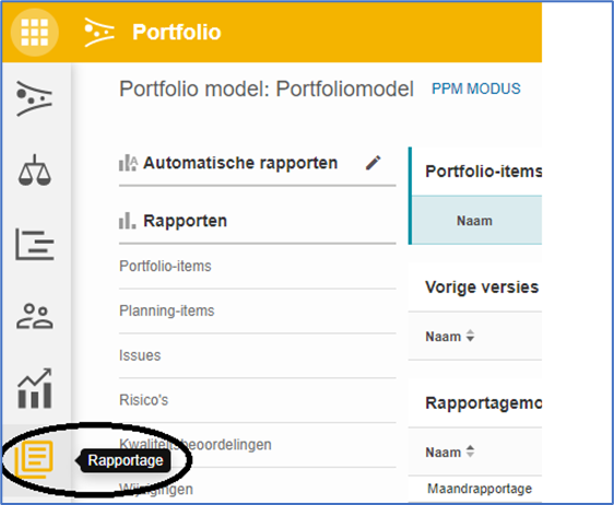 Reporting tab in the Portfolio Model